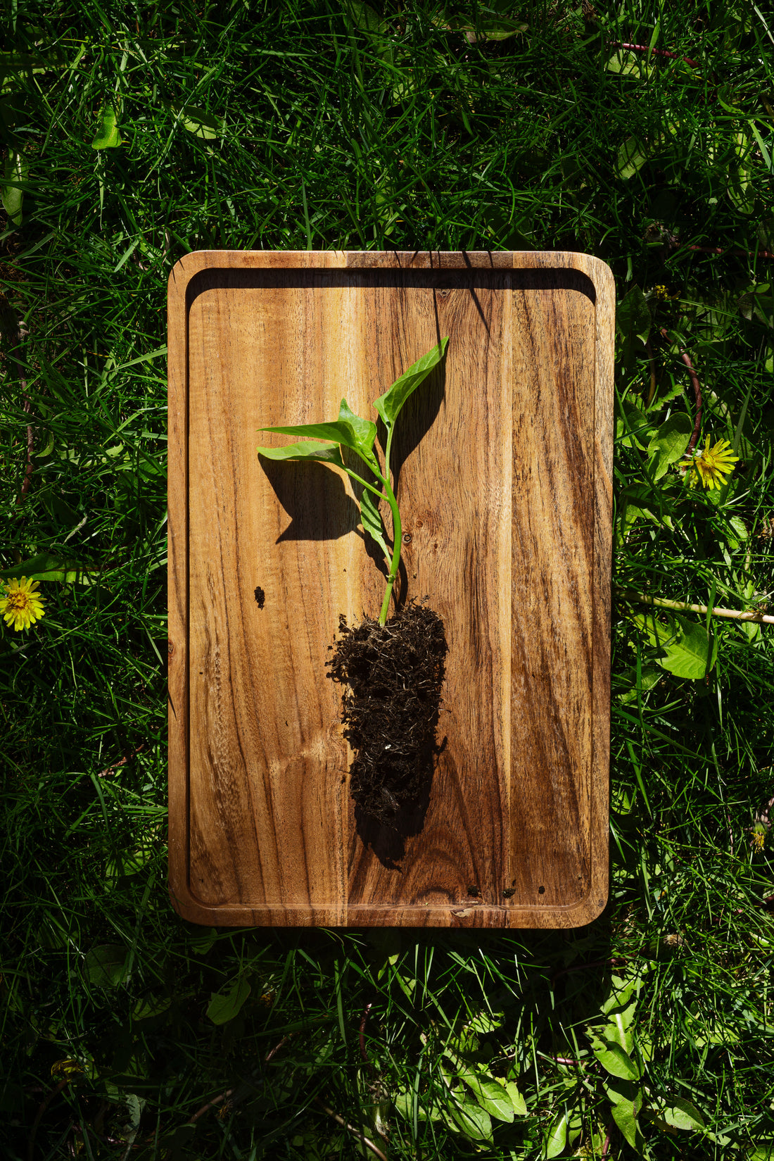 Best Wooden Kitchen Utensils